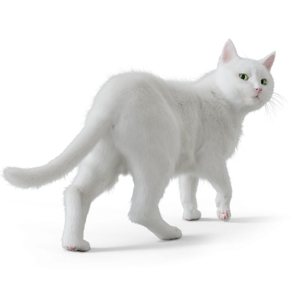 print_sourireDos_300dpi_ombres_dark (1)