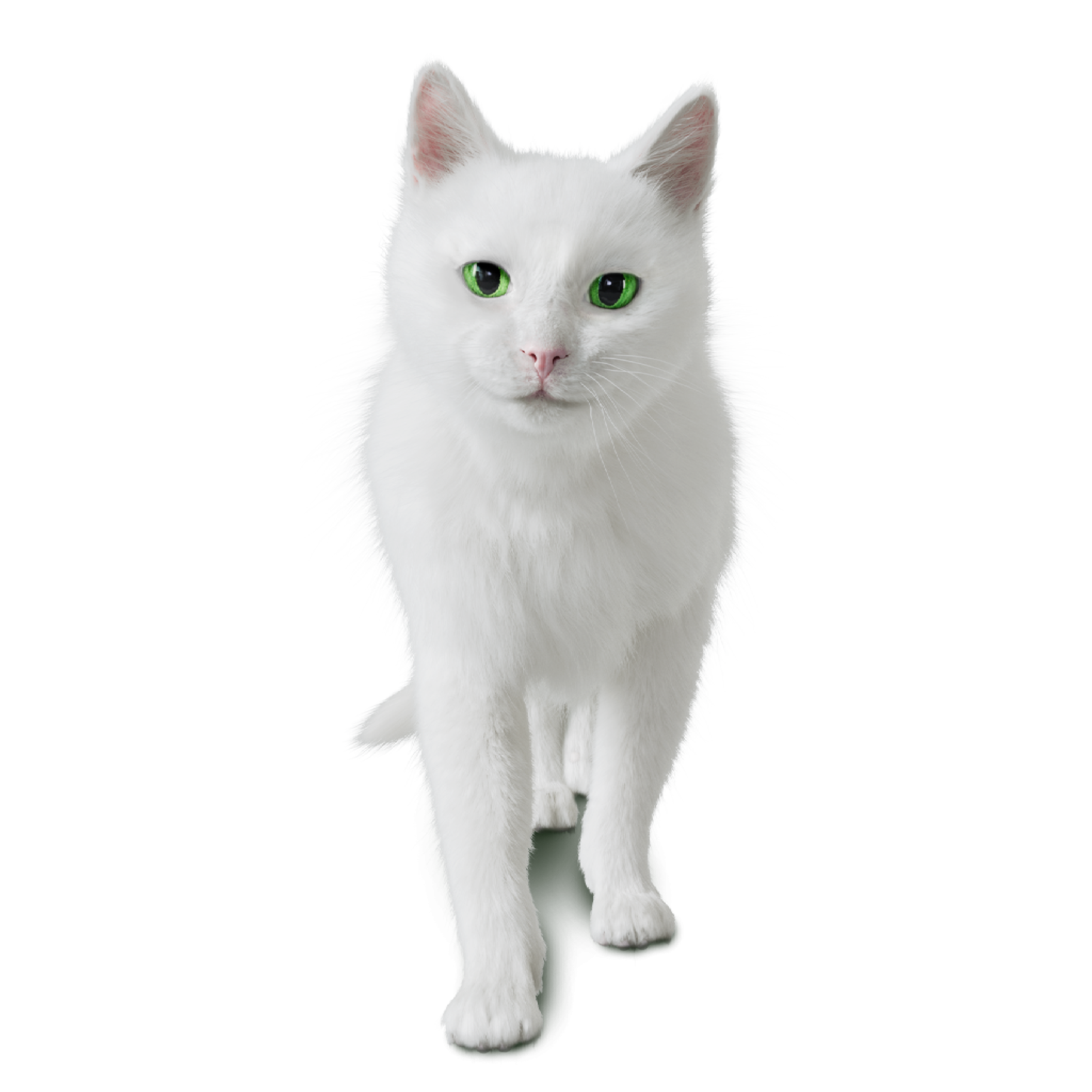 print_sourireDos_300dpi_ombres_dark (2)